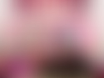 ¡URGENTE! Último día de registro para las pensiones de adultos mayores y mujeres Bienestar