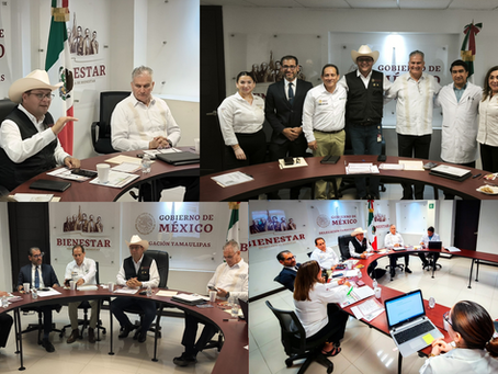 El programa #SaludCasaPorCasa es una estrategia nacional de nuestra presidenta, la Dra. Claudia Sheinbaum Pardo, y de nuestra secretaria de Bienestar, Arq. Ariadna Montiel Reyes: Luis Lauro Reyes. 