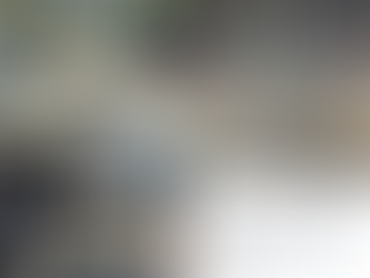 Tianguistas denuncian abandono y cobro de piso de Gattás