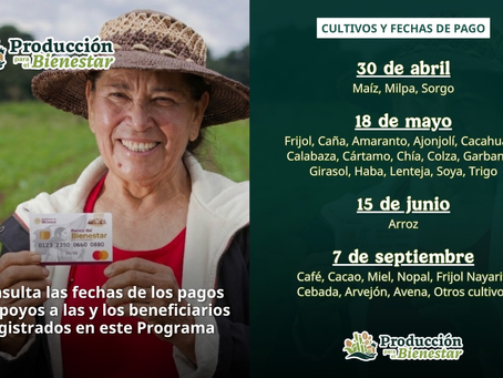 Producción para el Bienestar 2026 inicia en Tamaulipas los pagos por cultivo el 30 de abril
