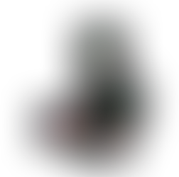 Car 23 - Billy Cheng