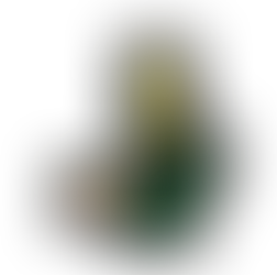 Car 2 - Gilbert Ngai