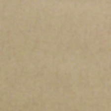 Georgette Camel