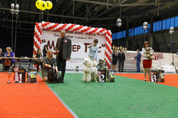 16641083_1281178131940893_746119213443807234_n