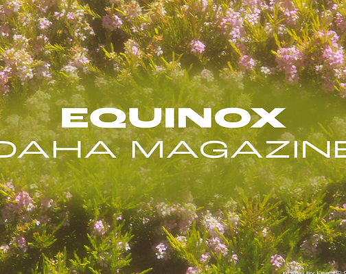 EQUINOX • DAHA