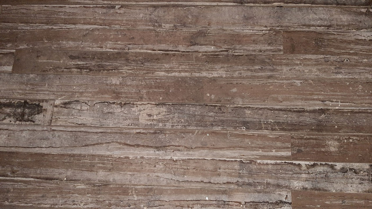 woody background.jpg