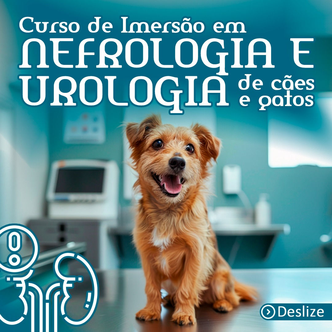 Curso de Imersão em Nefrologia e Urologia de Cães e Gatos