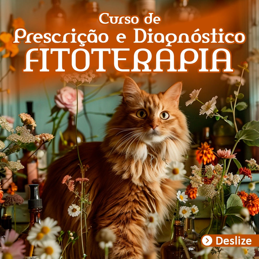Curso Prescrição e Diagnostico Fitoterapia Chinesa e Brasileira