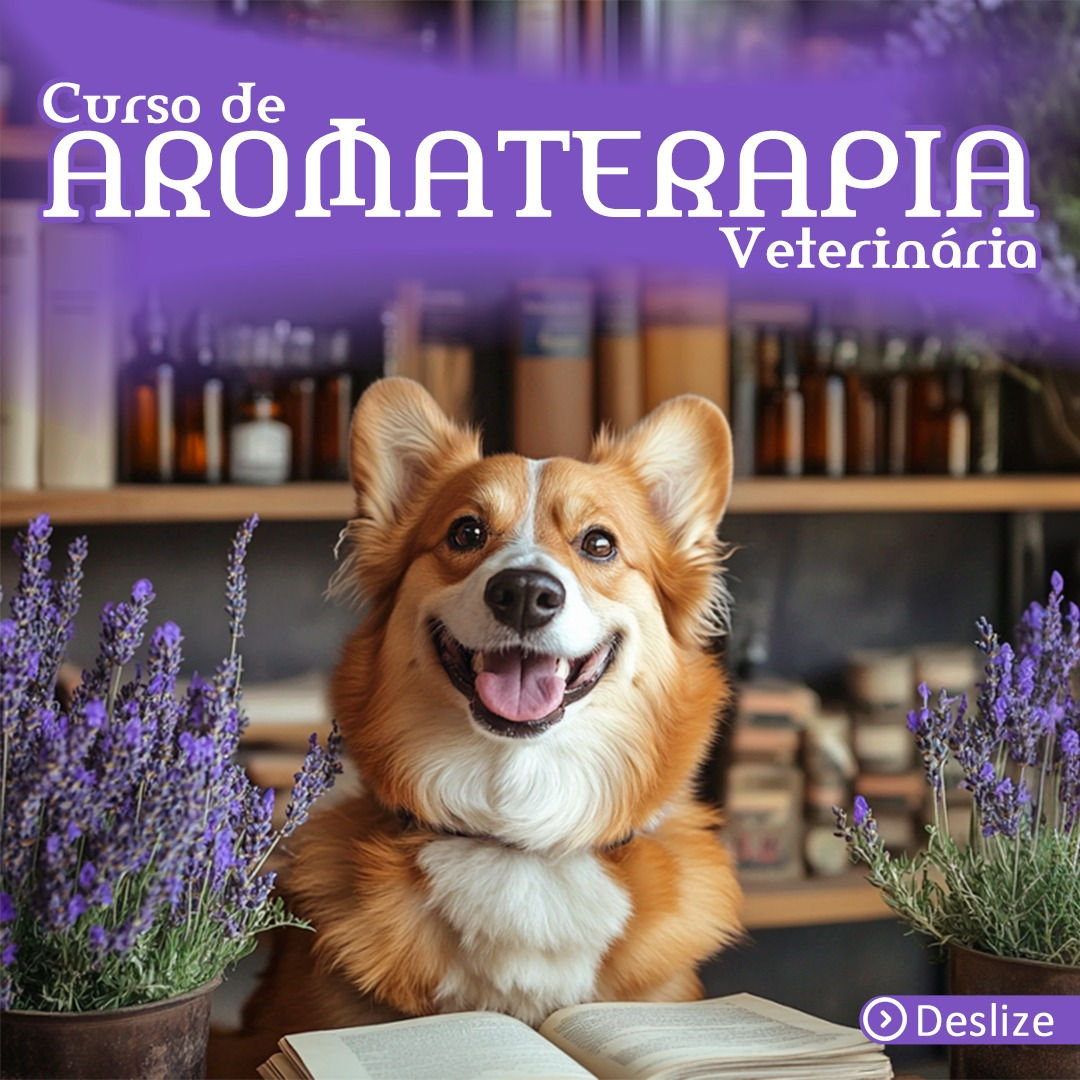 Aromaterapia na Veterinária