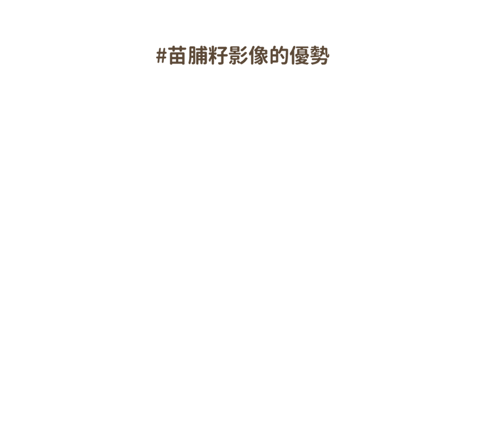 苗脯籽優勢01.png