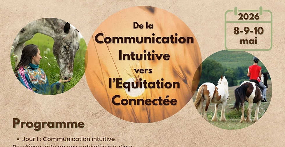 De la Communication Intuitive à l'Equitation Connectée