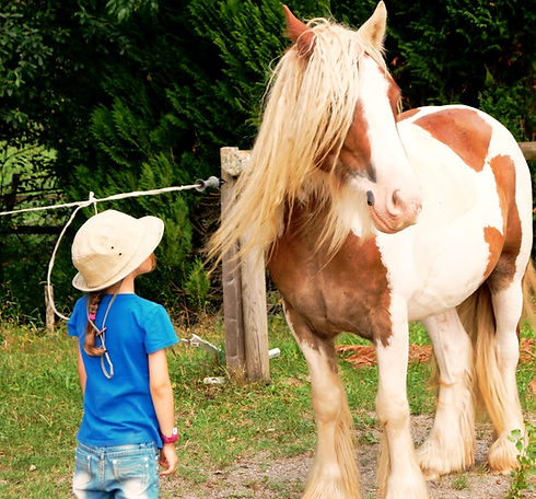 Séance de médiation animale humain, enfant, cheval en pleine nature, en Ariège, Occitanie, proche de Toulouse - crédit photo Valérie Ferrand