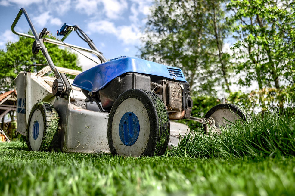 garden-grass- Mower.jpg