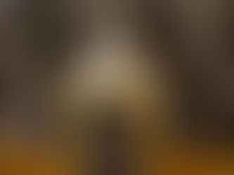 Vinaigre Citron Basilic