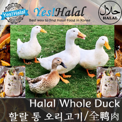 Halal Whole Duck (Brand Korea Muslim Food) yeshalal