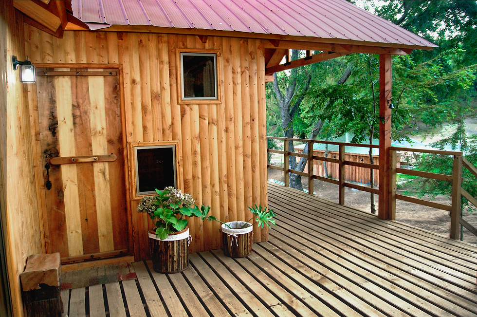 Terraza 1.png