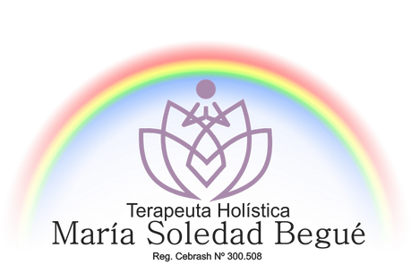 logo sol png bn.png