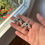 Miniatura: Earrings