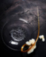 i_010.jpg