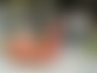 謝土儀式 【昕居】