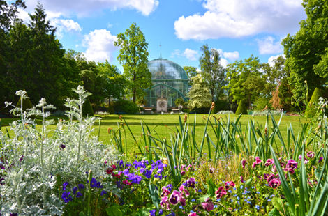Explorez le Jardin des Serres d'Auteuil : Oasis de Verdure à proximité du Parc des Princes pour les Jeux Olympiques de 2024