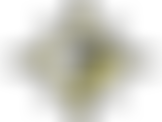 What We Teach & What We Will Achieve