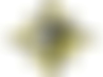 What We Teach & What We Will Achieve