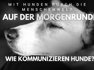 Auf der Morgenrunde