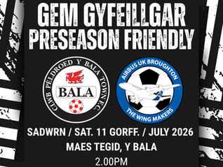 CYFEILLGAR - 11/07/26 - FRIENDLY