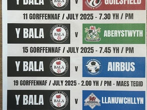 GEMAU CYFEILLGAR - 2025 - FRIENDLIES UPDATED.
