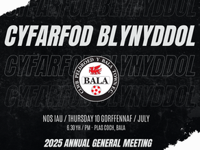 CYFARFOD BLYNYDDOL - AGM