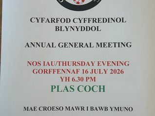 CYFARFOD CYFFREDINOL BLYNYDDOL - 2026 AGM