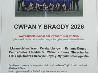 CWPAN Y BRAGDY -2026- GWYBODAETH TYNNU - DRAW INFORMATION.
