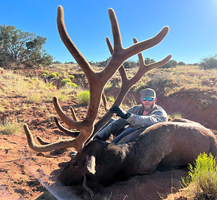 Velvet Elk Hunt 