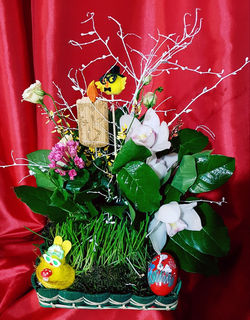 17966042_717331151788136_3739077106679857123_o