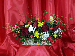 16179426_680183588836226_2516483868302820008_o - Copie