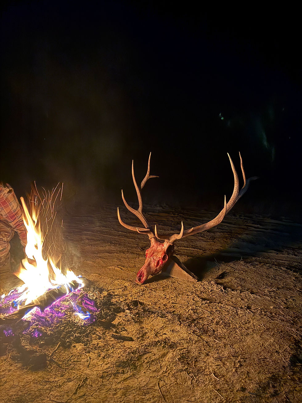 Thumbnail: 2026 Elk Hunt Sweepstakes
