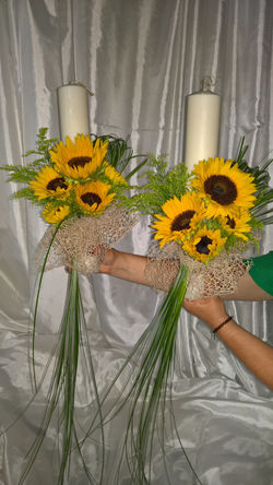 WP_20160702_08_22_21_Rich