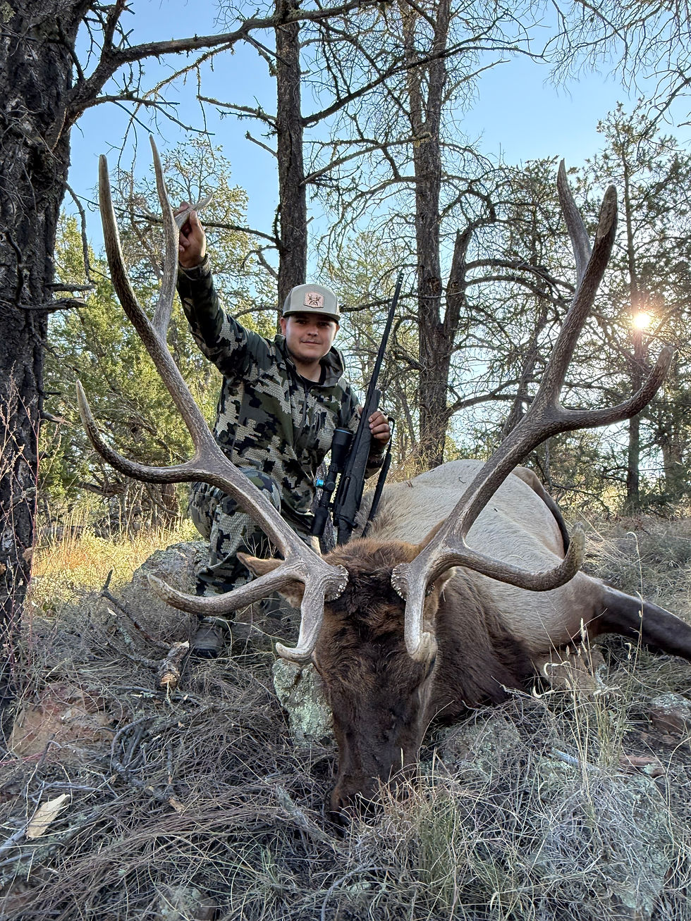 Thumbnail: 💥 New Mexico Elk Hunt Giveaway