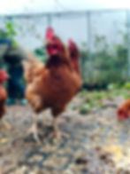 2e7e0e11-52f2-4d21-a364-6b040f3a76b8