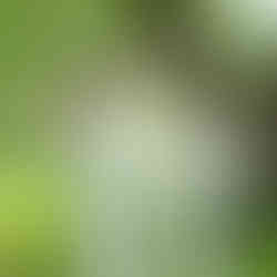 A joyful moment from a same-sex micro wedding, featuring a couple in elegant attire. They are surrounded by intimate, natural settings or a small, personal ceremony setup. The focus is on the couple's connection and love, with soft lighting highlighting the intimate atmosphere