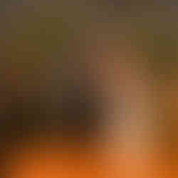 Wedding Ceremony LGBTQ Wedding Photography in Minneapolis MN