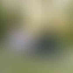 Top tips for photographing darker skin tones