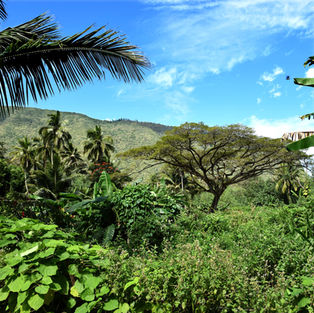 Big Island of Hawaii