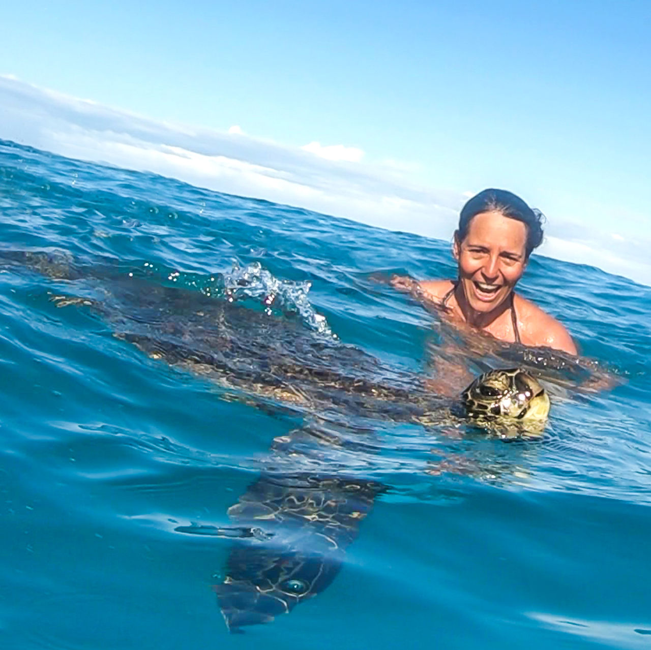 Swimming with Sea Turtles off the big island of Hawaii