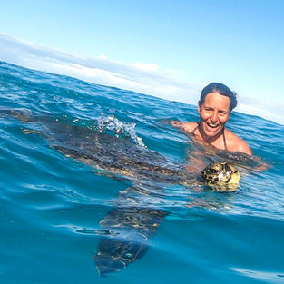 Swimming with Sea Turtles off the big island of Hawaii