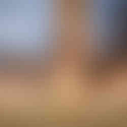 Love Bubbles Wedding at McColl Pond in MN