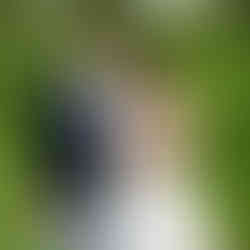 Love Bubbles Wedding at McColl Pond in MN