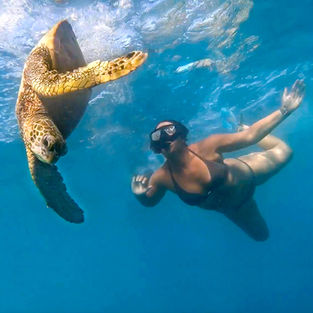 Swimming with Sea Turtles off the big island of Hawaii