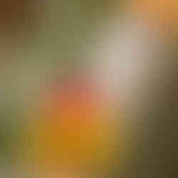 Love Bubbles Wedding at McColl Pond in MN